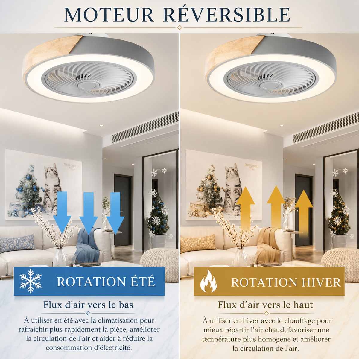 Ventilateur de plafond Tavora