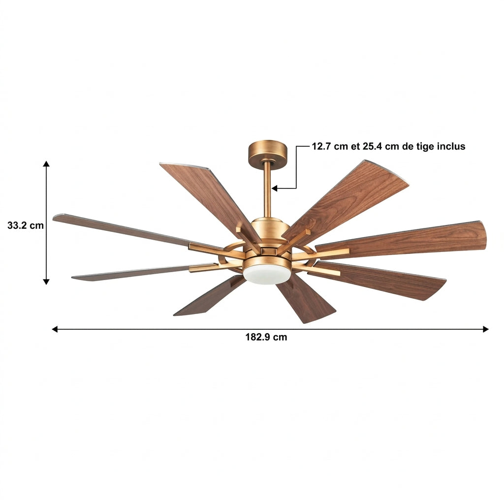 Ventilateur de plafond Velora